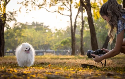 pawtyclubs-blog-photography